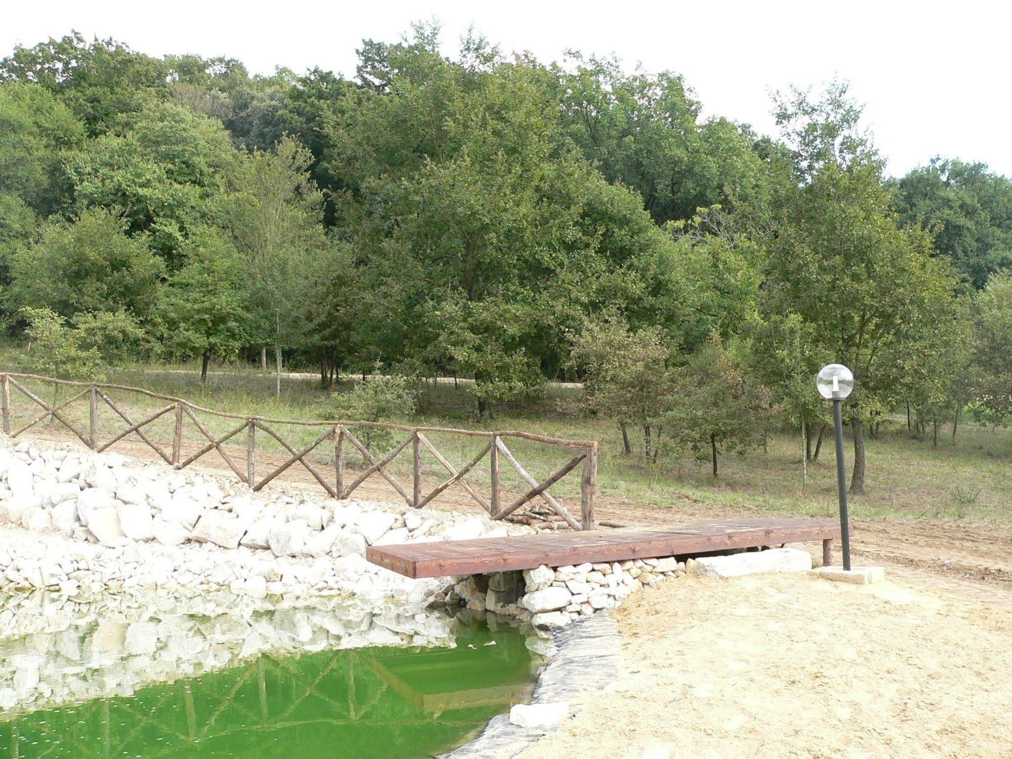 Agriturismo Il Casale Delle Ginestre Fiumicino Buitenkant foto